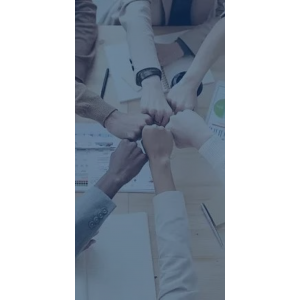 强大的专业支撑